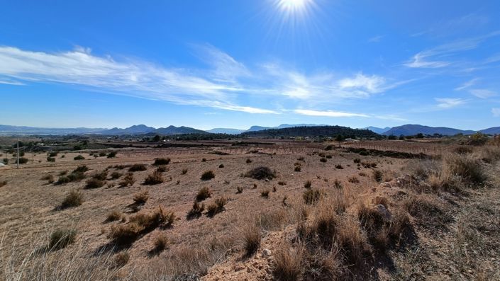 Image No.39-Villa de 3 chambres à vendre à Novelda