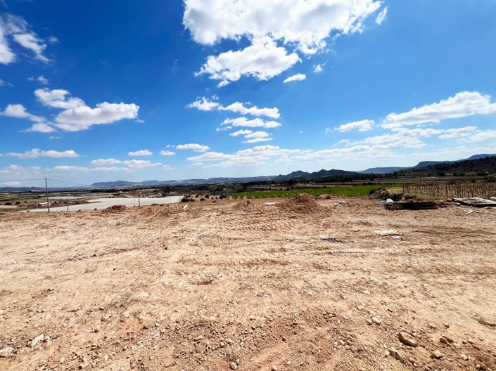 Image No.43-Villa de 3 chambres à vendre à Novelda