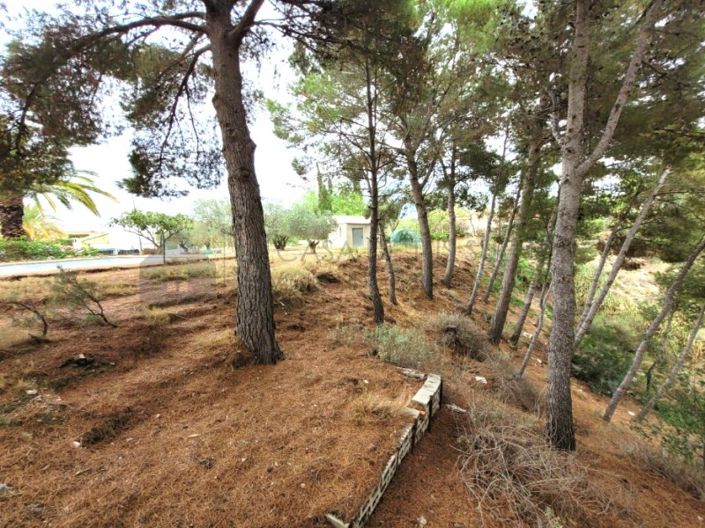 Image No.36-Maison de campagne de 4 chambres à vendre à Petrer