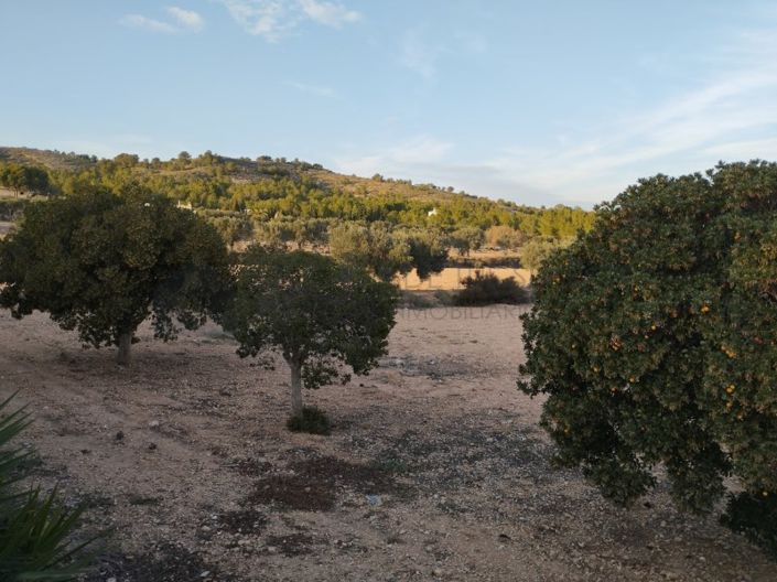 Image No.50-2 Bed Villa for sale