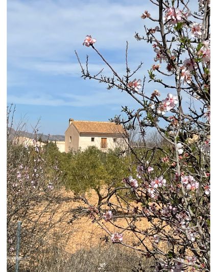 Image No.3-Maison de campagne de 5 chambres à vendre à Raspay