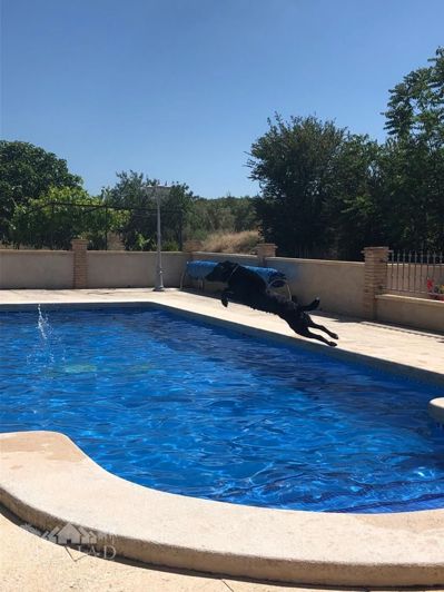 Image No.49-Maison de campagne de 5 chambres à vendre à Raspay