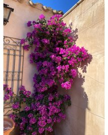 5931eafcb0a1-64d6-4380-9fef-5e51a2ba3ec6