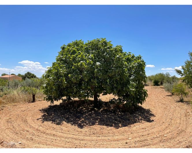 Image No.50-Maison de campagne de 5 chambres à vendre à Raspay