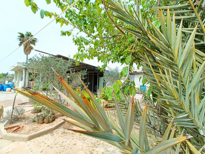 Image No.4-Villa de 4 chambres à vendre à Hondón de los Frailes