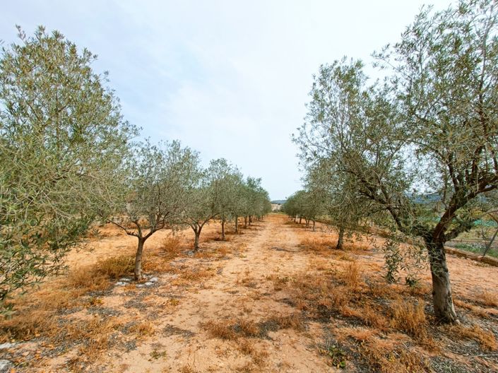 Image No.35-Villa de 4 chambres à vendre à Hondón de los Frailes