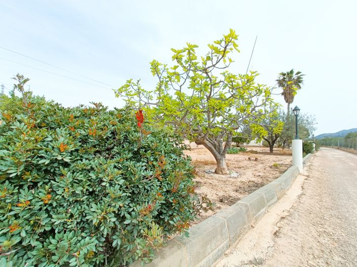 Image No.6-Villa de 4 chambres à vendre à Hondón de los Frailes