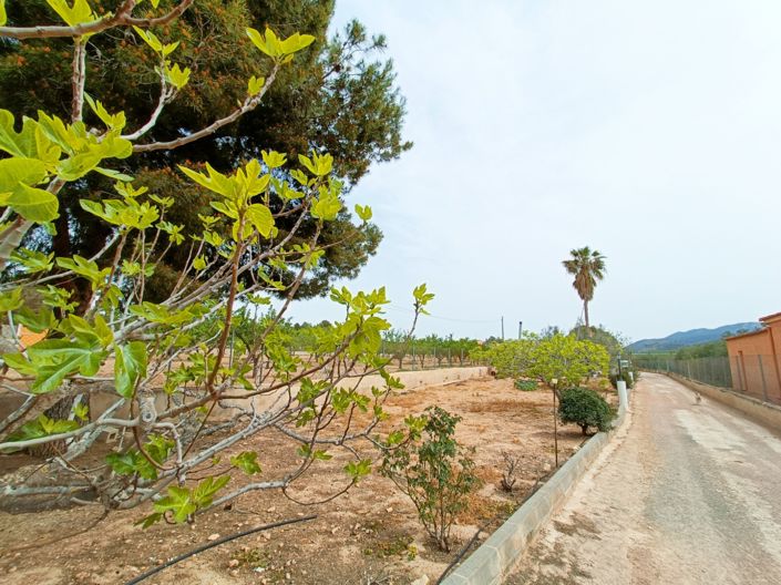 Image No.7-Villa de 4 chambres à vendre à Hondón de los Frailes