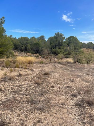 Image No.22-Terre de 2 chambres à vendre à Pinoso