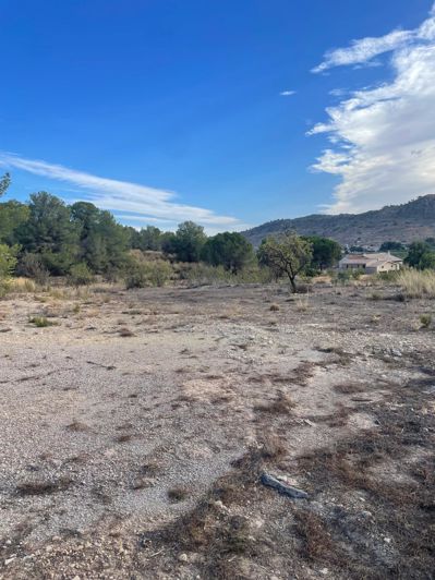 Image No.25-Terre de 2 chambres à vendre à Pinoso