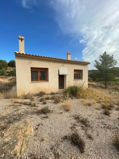 Image No.4-Terre de 2 chambres à vendre à Pinoso