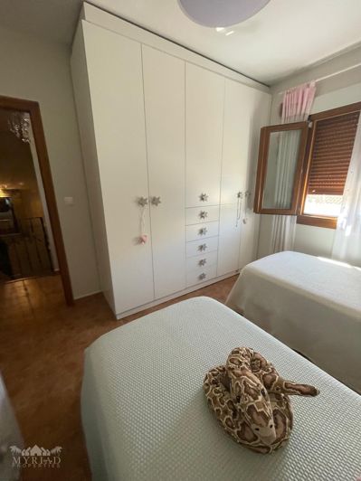 Image No.37-Maison de ville de 4 chambres à vendre à Pinoso