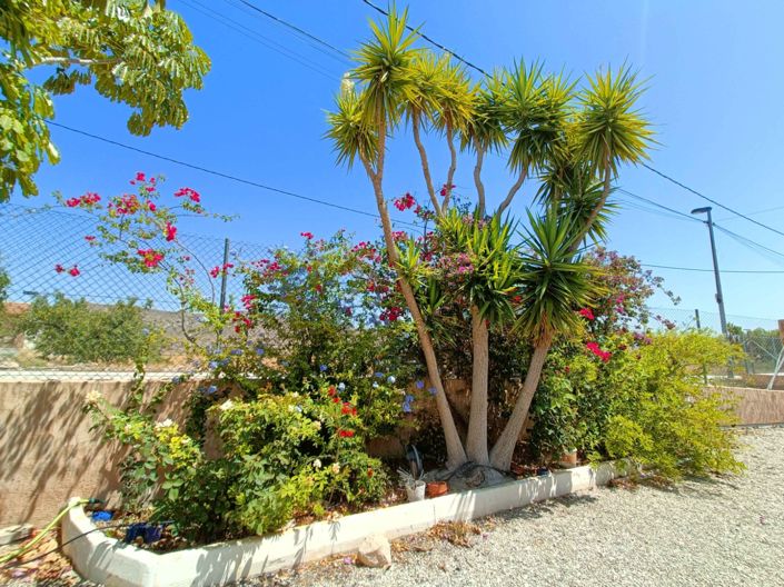 Image No.44-5 Bed Villa for sale