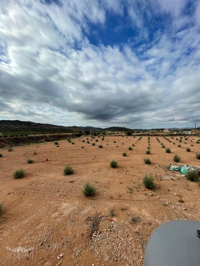 Image No.44-3 Bed Villa for sale