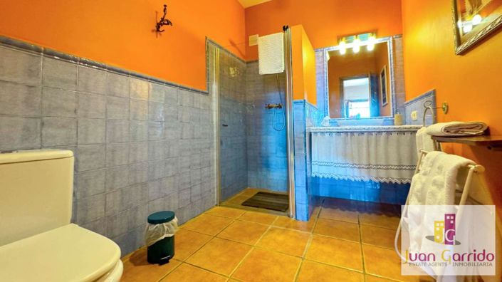 Image No.18-Villa de 7 chambres à vendre à Frigiliana