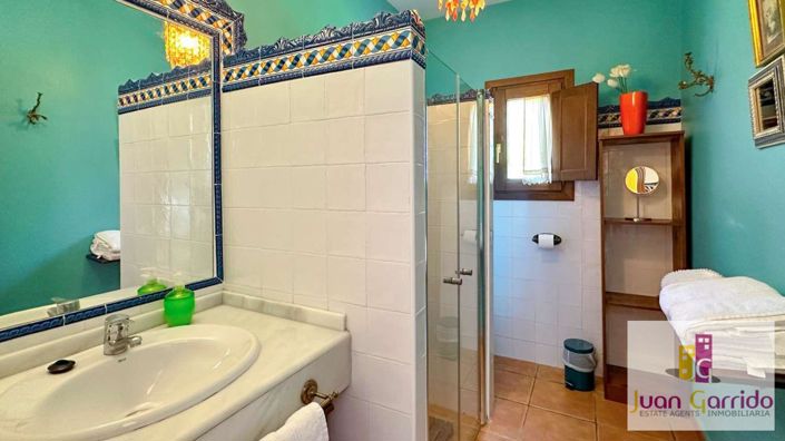 Image No.34-Villa de 7 chambres à vendre à Frigiliana