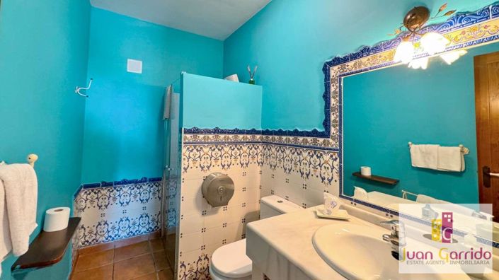 Image No.40-Villa de 7 chambres à vendre à Frigiliana