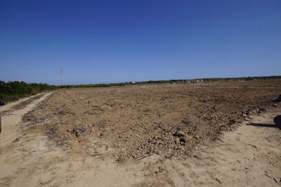 o1impeu4r316pd602rle2v91aj421