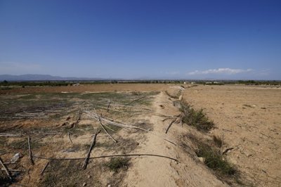 o1impeu4r317581uj5mg71jq1di126