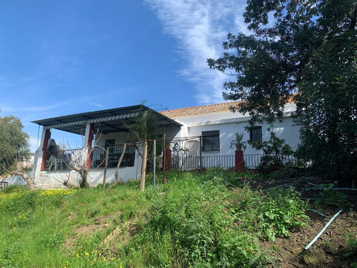 Image No.4-3 Bed Property for sale