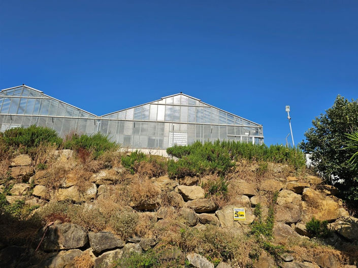 Image No.10-Propriété de 6 chambres à vendre à Casares