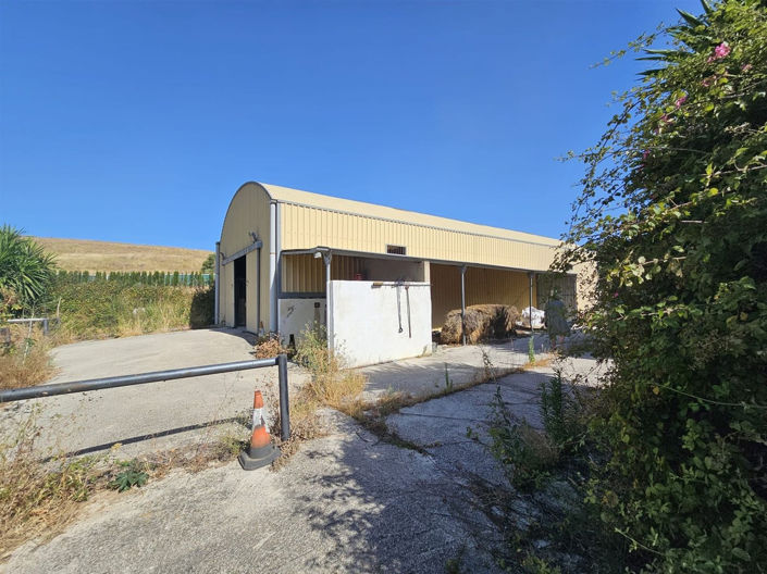 Image No.24-Propriété de 6 chambres à vendre à Casares