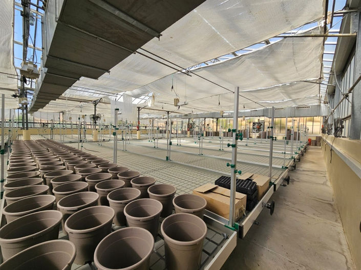 Image No.4-Propriété de 6 chambres à vendre à Casares