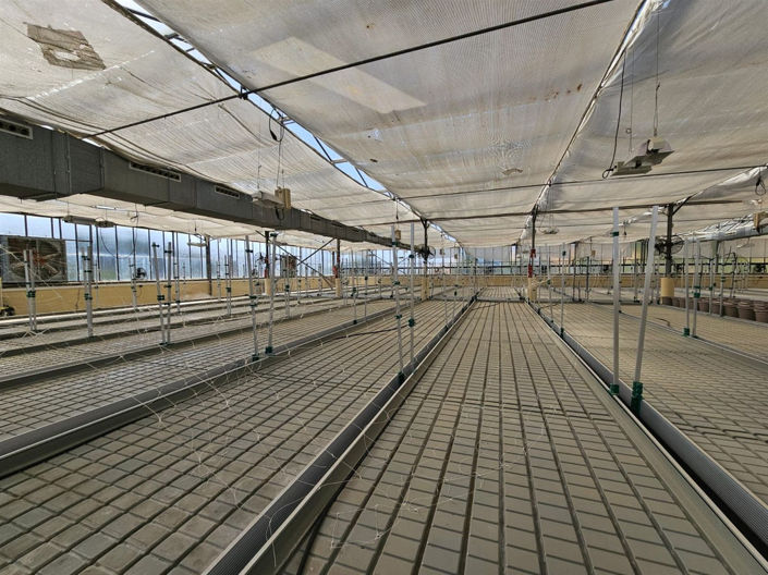 Image No.5-Propriété de 6 chambres à vendre à Casares