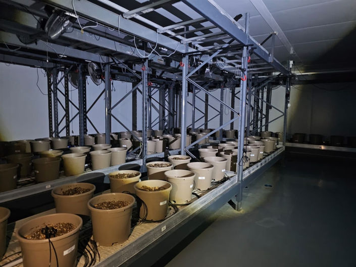 Image No.8-Propriété de 6 chambres à vendre à Casares