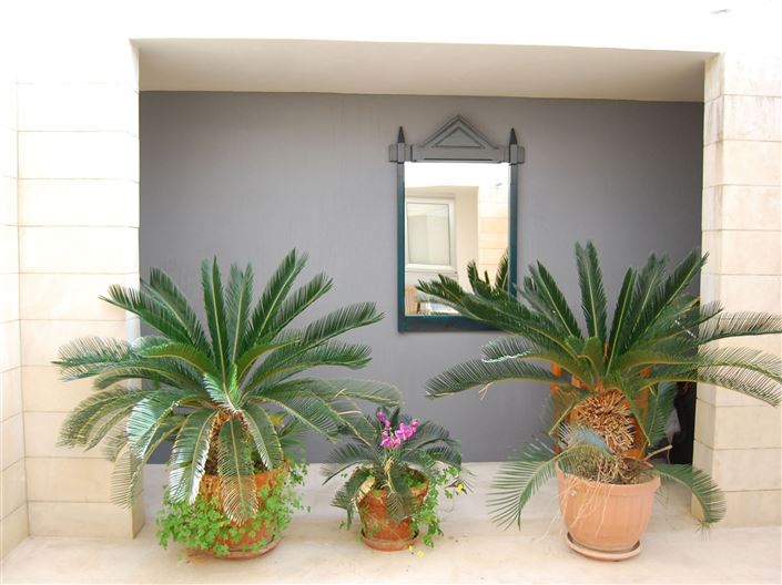 Image No.10-Maison de 5 chambres à vendre à Tala