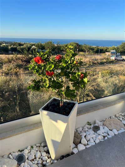 Image No.26-Maison de 4 chambres à vendre à Tala