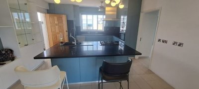 4e010e97-c770-4f0c-98e2-b697639f14ea