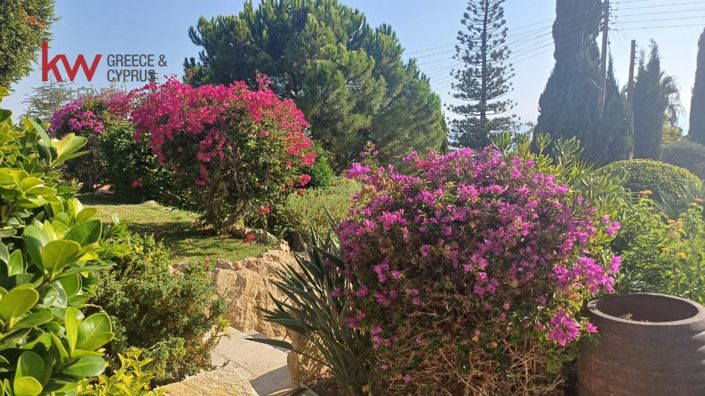 Image No.21-Maison de 4 chambres à vendre à Tala