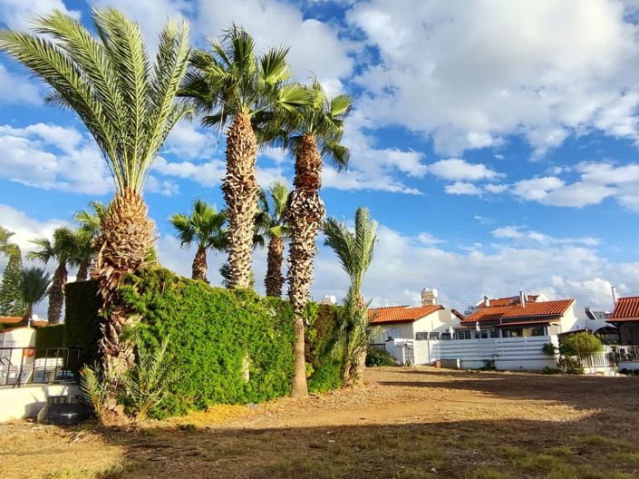 Image No.15-Appartement de 2 chambres à vendre à Tombs of the Kings
