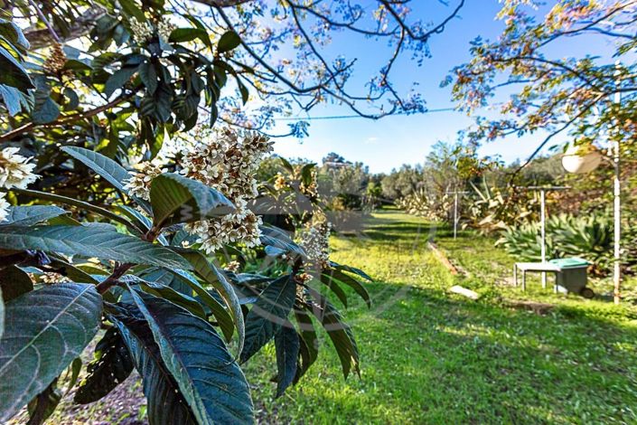 Image No.21-Villa de 2 chambres à vendre à Tavira