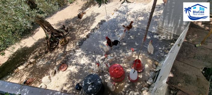 Image No.39-4 Bed House for sale