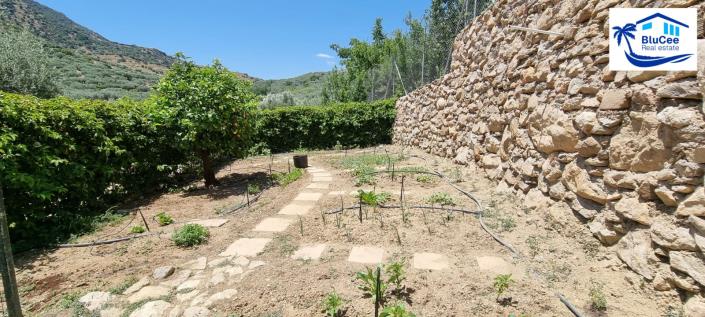 Image No.41-4 Bed House for sale