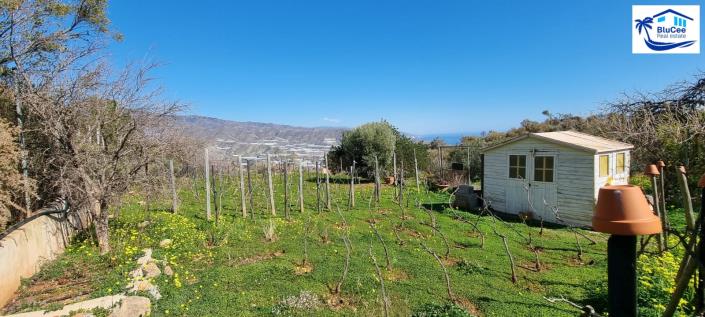 Image No.55-3 Bed Villa for sale