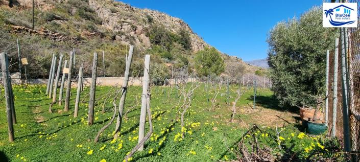 Image No.56-3 Bed Villa for sale