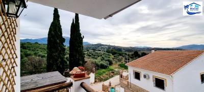 Property-for-sale-in-Periana-Malaga-Andalusia-Costa-del-Sol-Spain---13-