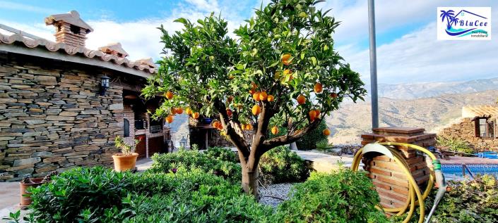 Image No.23-Maison / Villa de 6 chambres à vendre à Sayalonga