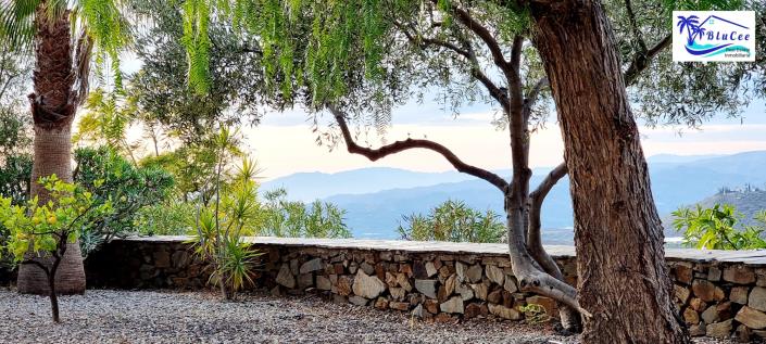 Image No.39-Maison / Villa de 6 chambres à vendre à Sayalonga