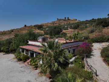 For-sale-one-level-property-with-business-opportunity---3-