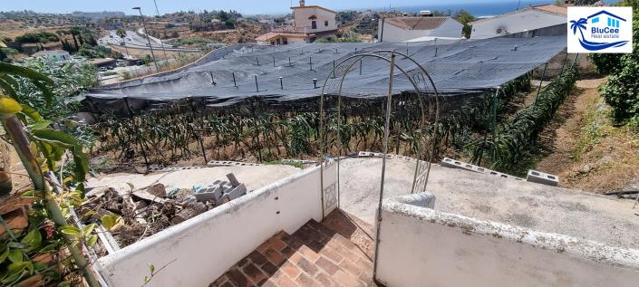 Image No.49-Finca de 4 chambres à vendre à Rincón de la Victoria