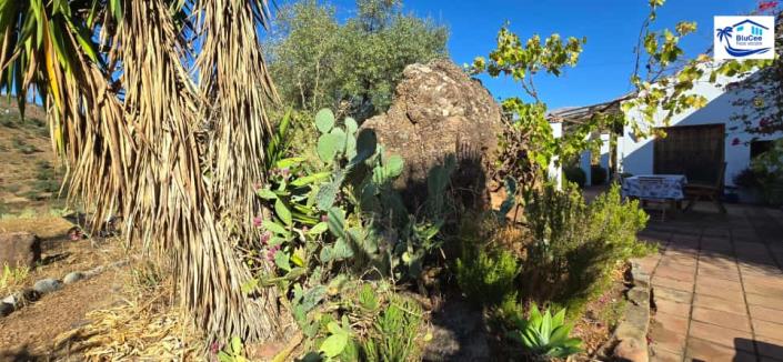 Image No.42-Maison de campagne de 2 chambres à vendre à Ríogordo