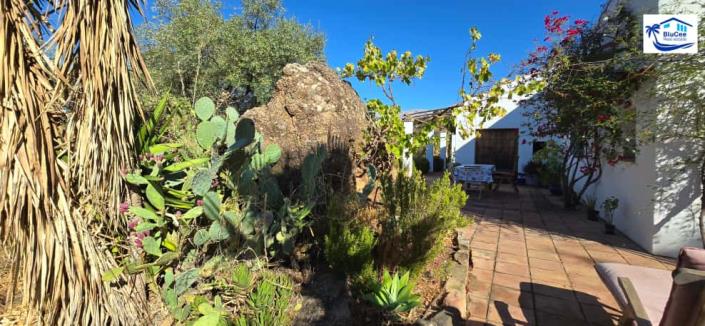 Image No.43-Maison de campagne de 2 chambres à vendre à Ríogordo