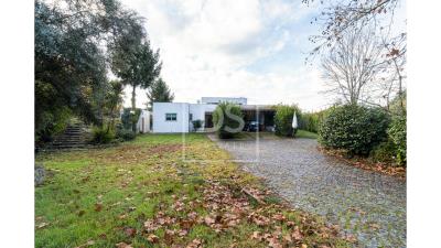 big_DSPAMARANTEPFR17_1640252569515