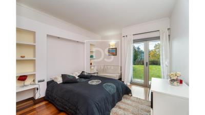 big_DSPAMARANTEPFR17_1640252596182