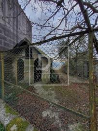 big_DSPAMARANTELAF63_1644236095415