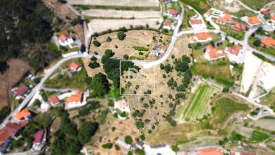 6_0db31c66-b00b-4053-9970-54bd3d2e55ee